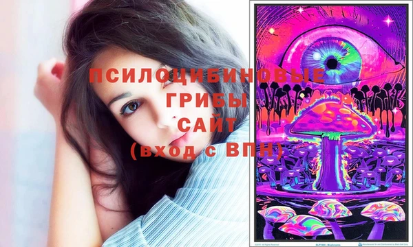 прущий лед Бронницы